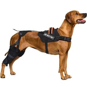 Dog Knee Brace for Torn Acl Hind Leg, Luxating Patella,Arthritis,